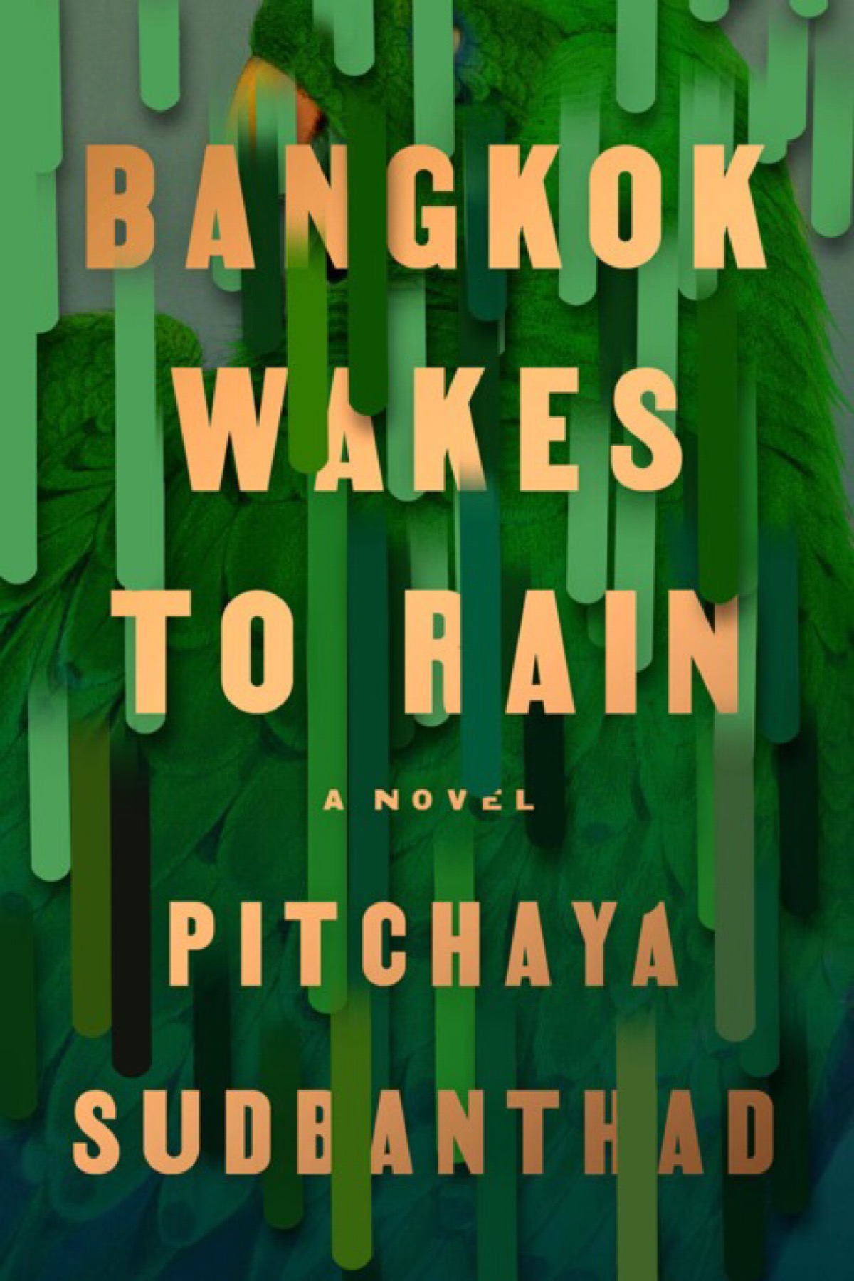 Book cover of Bangkok Wakes To Rain