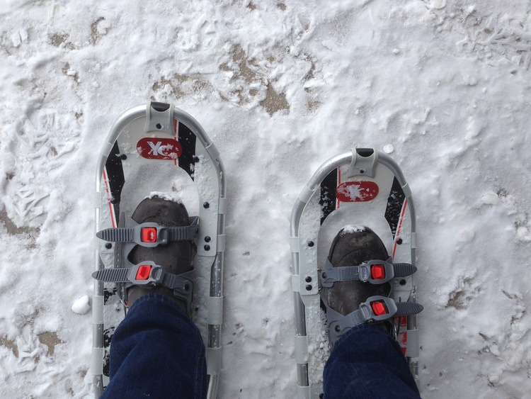 Snowshoeing