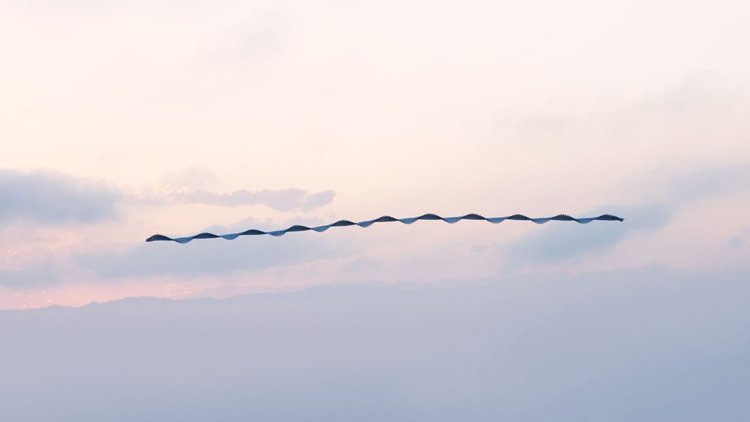 Ornitographies, by Xavi Bou