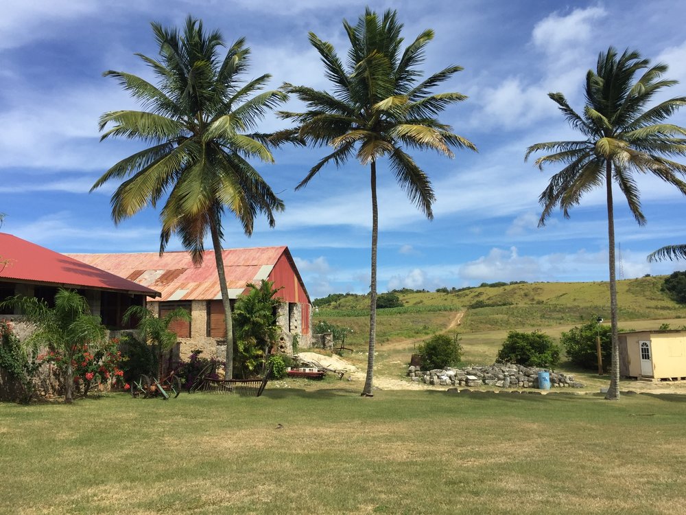 Snapshot from travels to Barbados