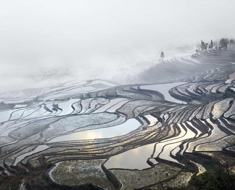 Rice terraces in Yunnan, China