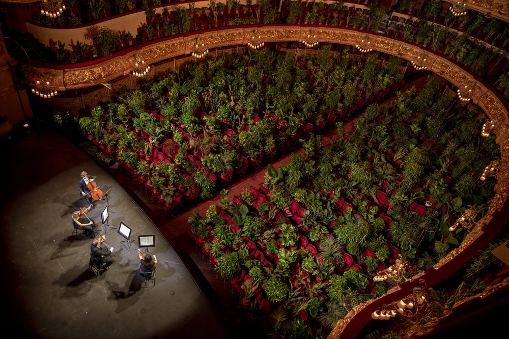 Plants fill seats at Barcelona opera house concert