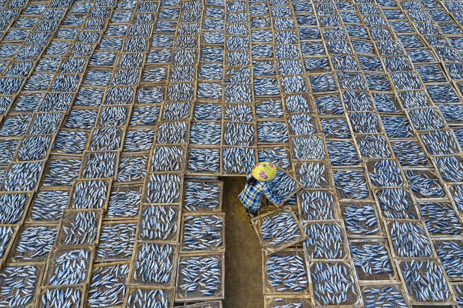 A woman dries trays of fish at Long Hai fish market