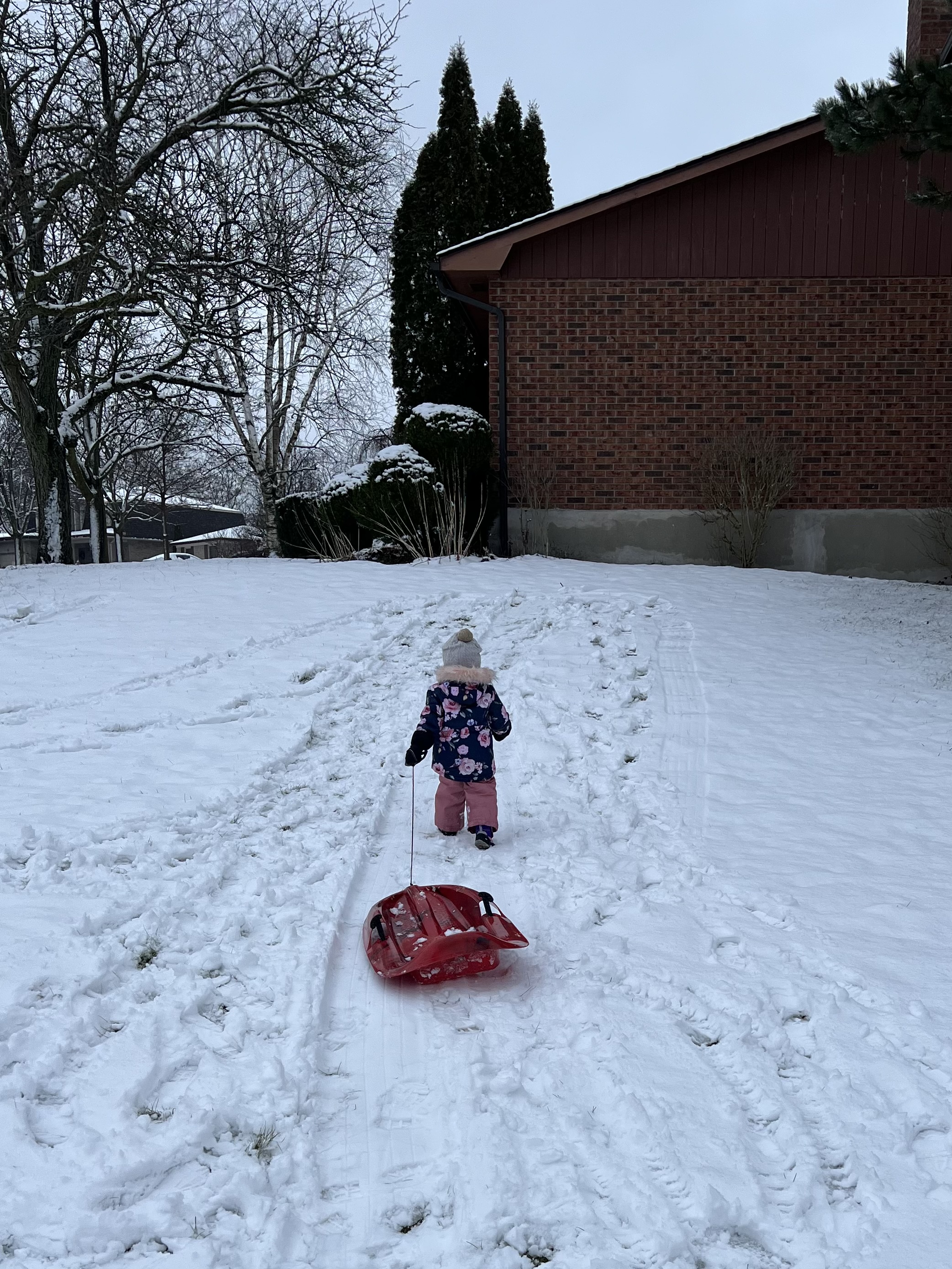 Photo of a child pulling her sled up a small snow-covered hill